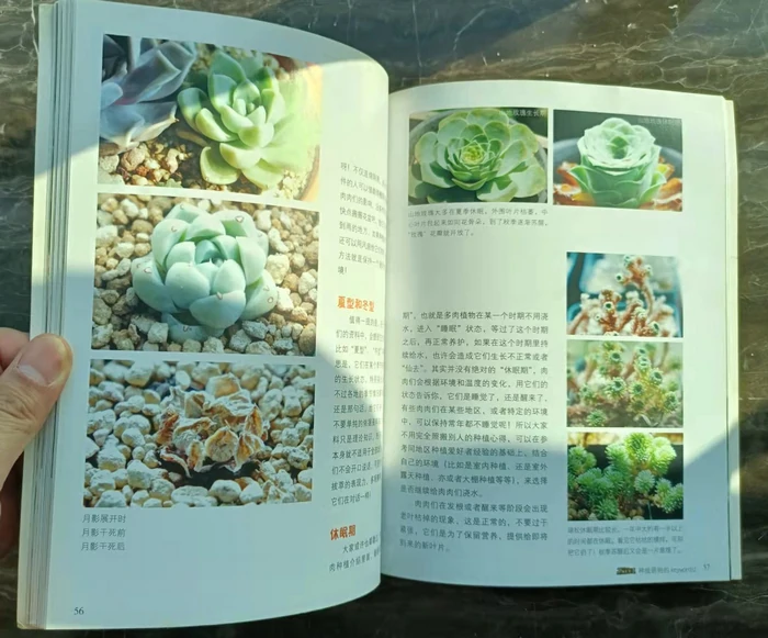 图文并茂、排版精美